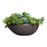 Mixed Succulent - Hedi's Furniture